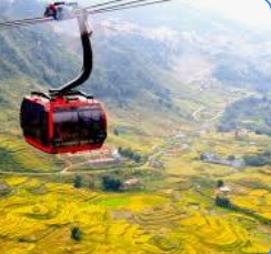 Hình minh họa câu hỏi